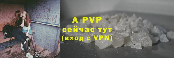 ГАЛЛЮЦИНОГЕННЫЕ ГРИБЫ Богданович