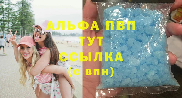 ГАЛЛЮЦИНОГЕННЫЕ ГРИБЫ Богданович