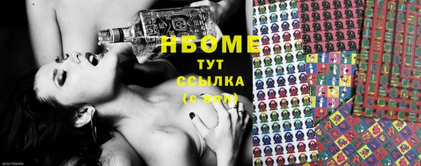 ГАЛЛЮЦИНОГЕННЫЕ ГРИБЫ Богданович