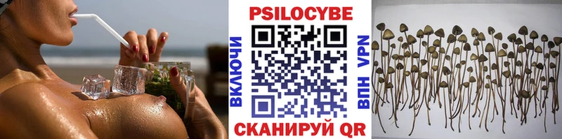 Галлюциногенные грибы ЛСД  блэк спрут вход  Торжок 